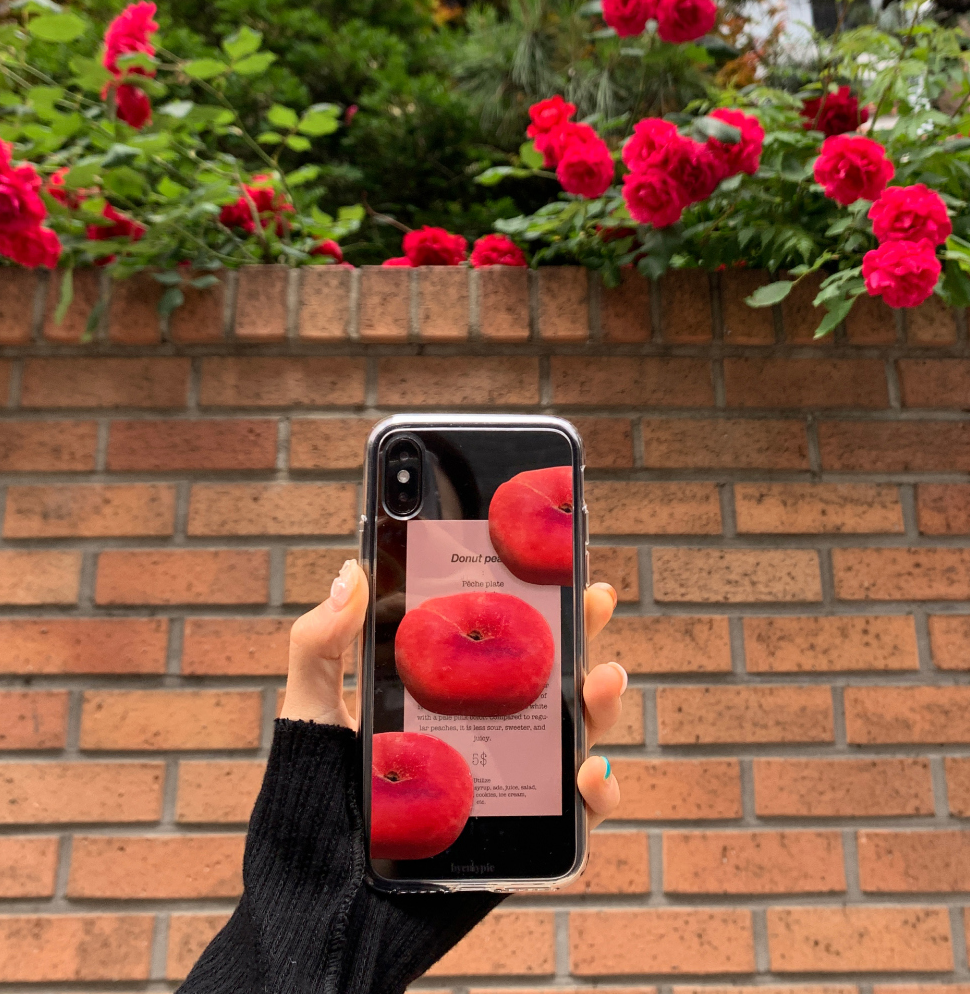 |byemypie| Donut Peach Case