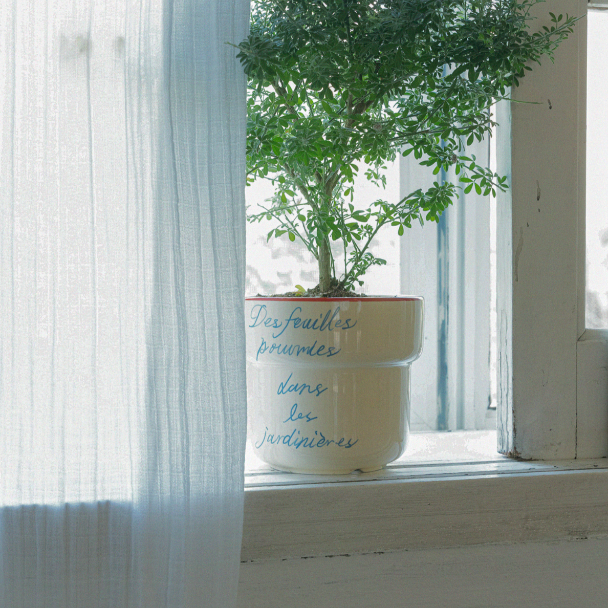 |HOTEL PARIS CHILL| Offline Mode Planter (Lemon Sorbet)