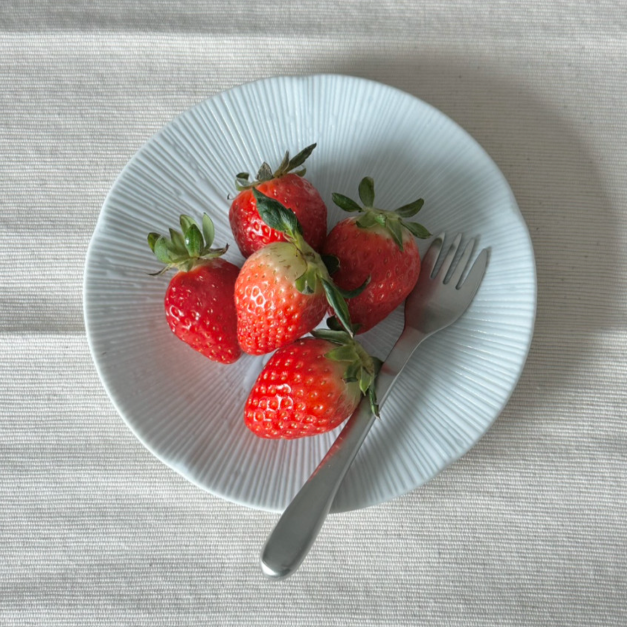 |sosoyoolee| Rain Drop Plate 22cm/24cm