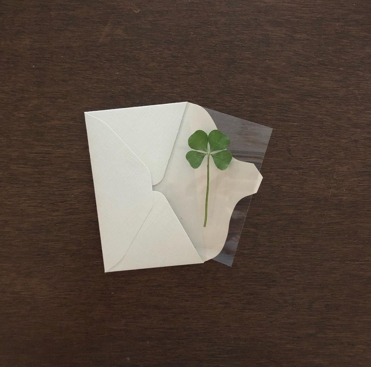 |期間限定| 四葉草幸運卡 Four-leaf Clover Card