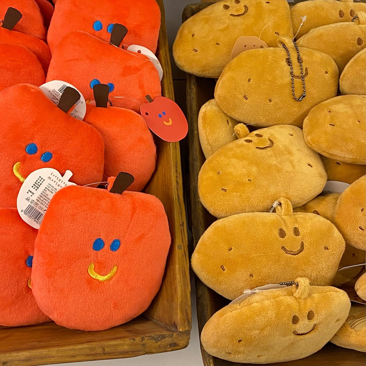 |Dinotaeng x InsideObject| Mini Pouch