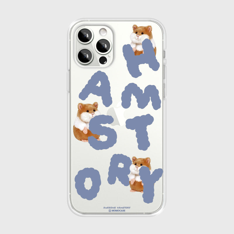 ｜MOMO CASE｜ 524 HAMSTORY(브라운) Jelly Case