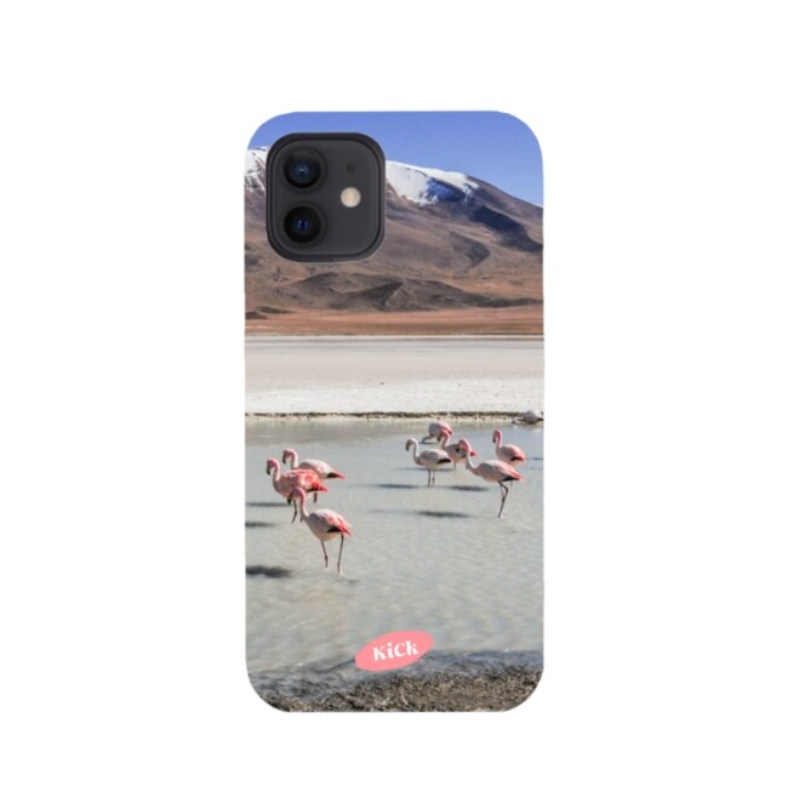 ｜KiCK｜ Flamingo Space Hard Case