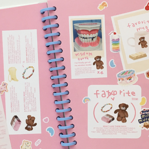 ｜eeundorable｜ Pink Pack