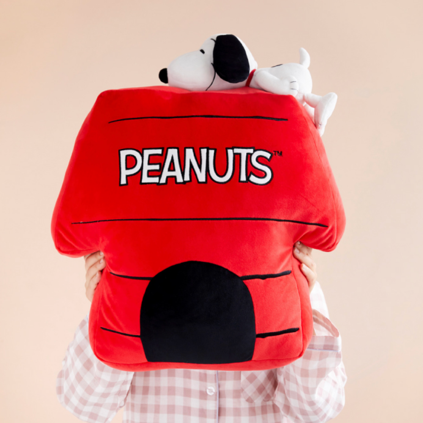 ｜Peanuts｜ Snoopy House Cushion