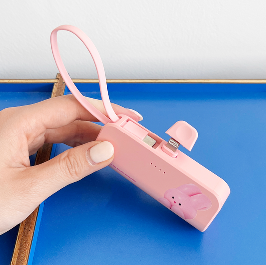 ｜THENINEMALL｜ Windy Basic Auxiliary Battery