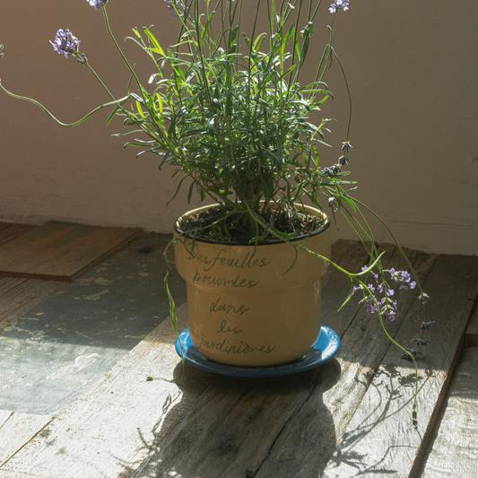 ｜HOTEL PARIS CHILL｜ Offline Mode Planter (Vanilla)