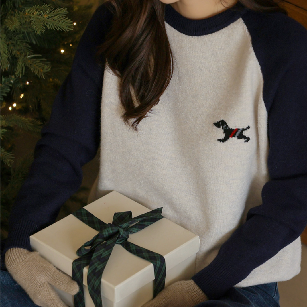 ｜FRENCHCHIC｜ Colour Raglan Knitwear