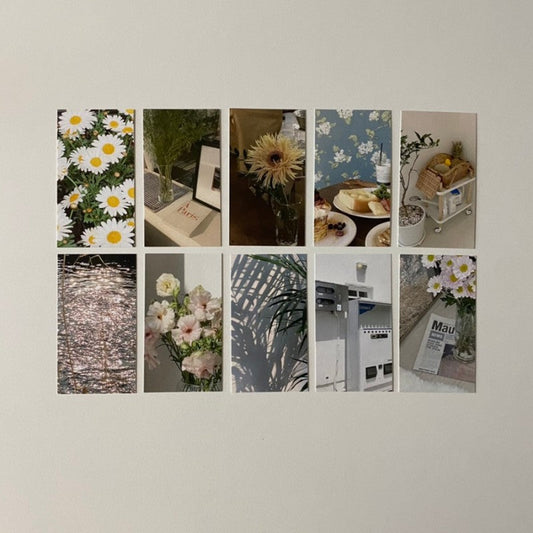 ｜nungo｜ Mini Postcard Set A + B